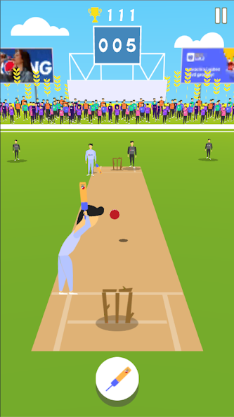 Cricket Summer Game screenshot 2