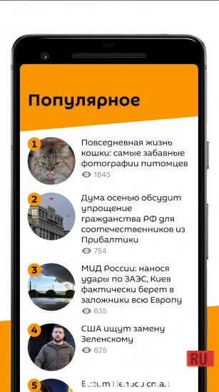 Sputnik Новости screenshot 3