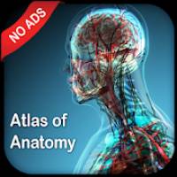 Gray’s Atlas of Anatomy Pro (No Ads) 1.1