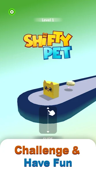 ShiftyPet