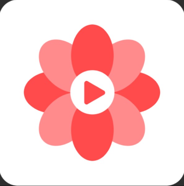 Download Touch Shorts