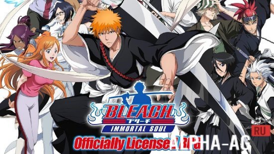 Bleach: Immortal Soul