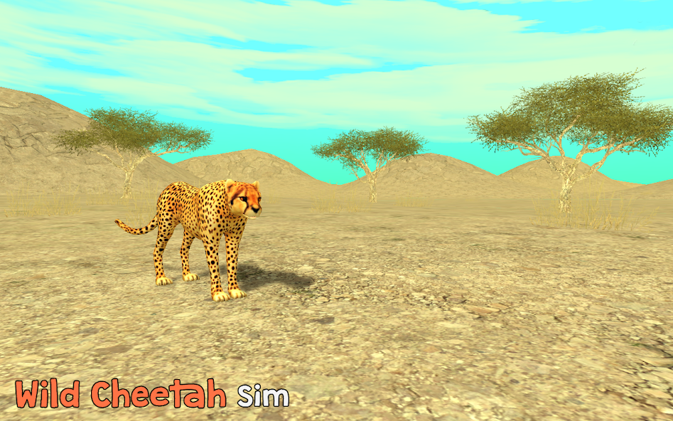 Wild Cheetah Sim