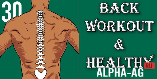 Back and Posture Fitness