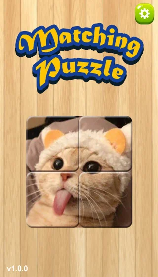 MatchingPuzzle