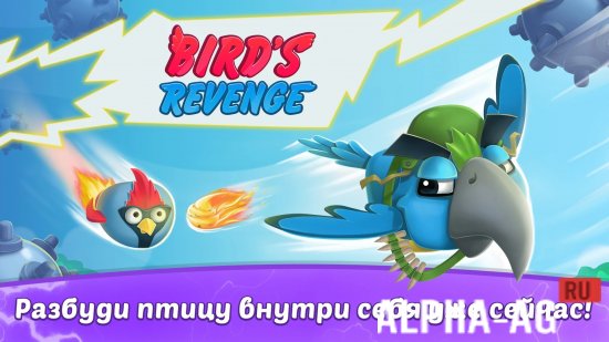 Birds Revenge: Месть пернатых screenshot 1