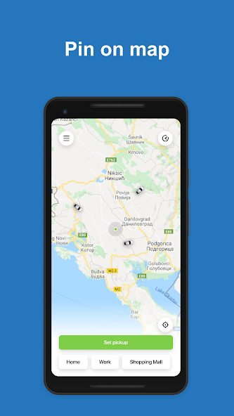 TeslaGoApp
