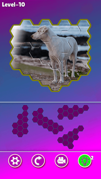 Hexa! Jigsaw Dogs screenshot 4