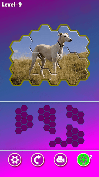 Hexa! Jigsaw Dogs screenshot 5