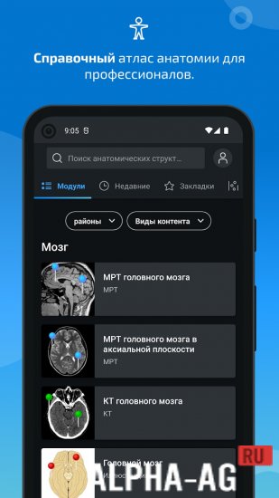 IMAIOS e-Anatomy screenshot 2