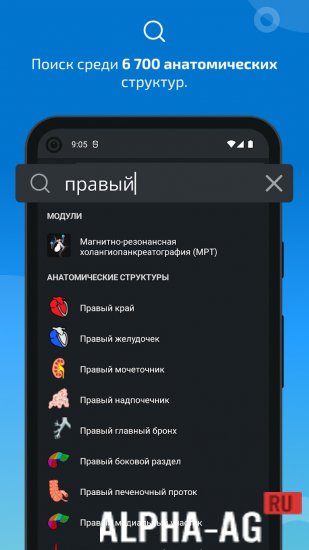 IMAIOS e-Anatomy screenshot 4