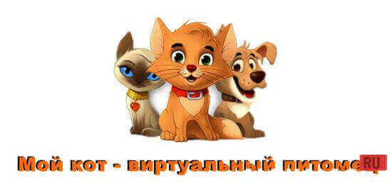My Cat