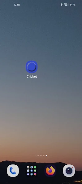 Cricket