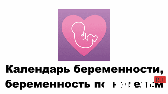 Pregnancy Tracker, Week by Week