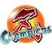 Z Champions