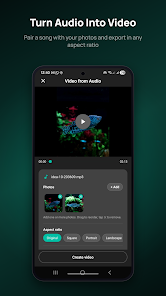 Screenshot image