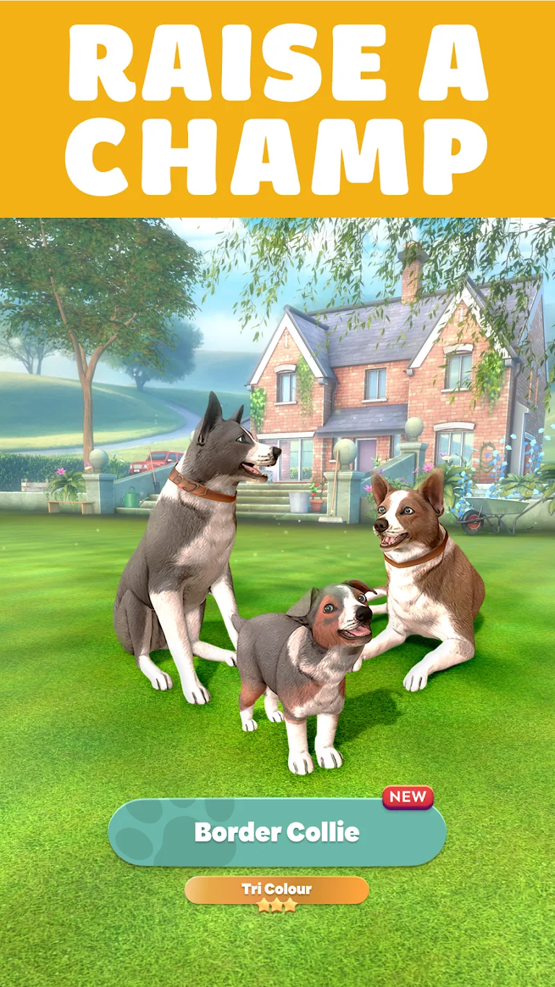 Pocket Paws screenshot 2