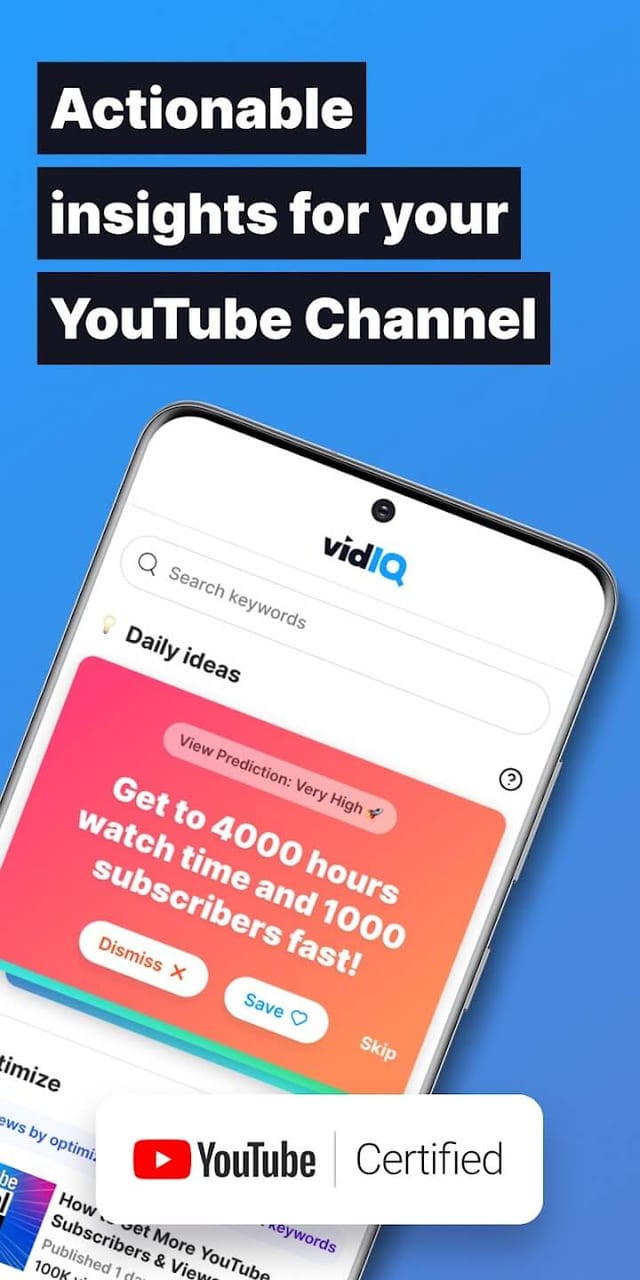 vidIQ screenshot 1