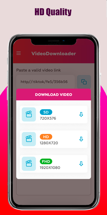 SSS Video Downloader screenshot 3