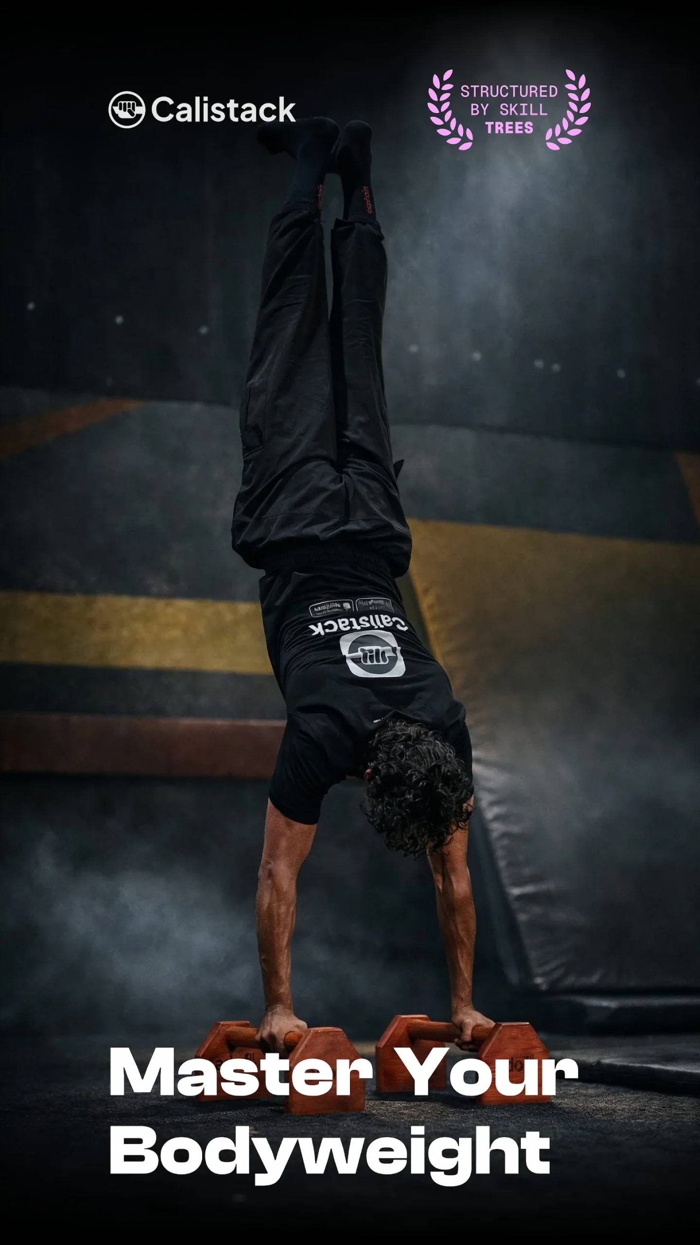 Calistack: Calisthenics Skills screenshot 1
