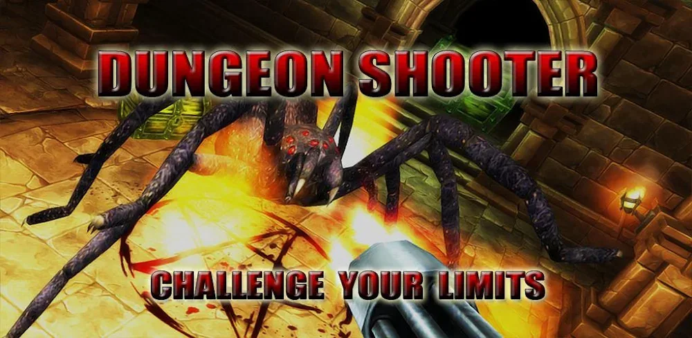 Dungeon Shooter: Dark Temple screenshot 1