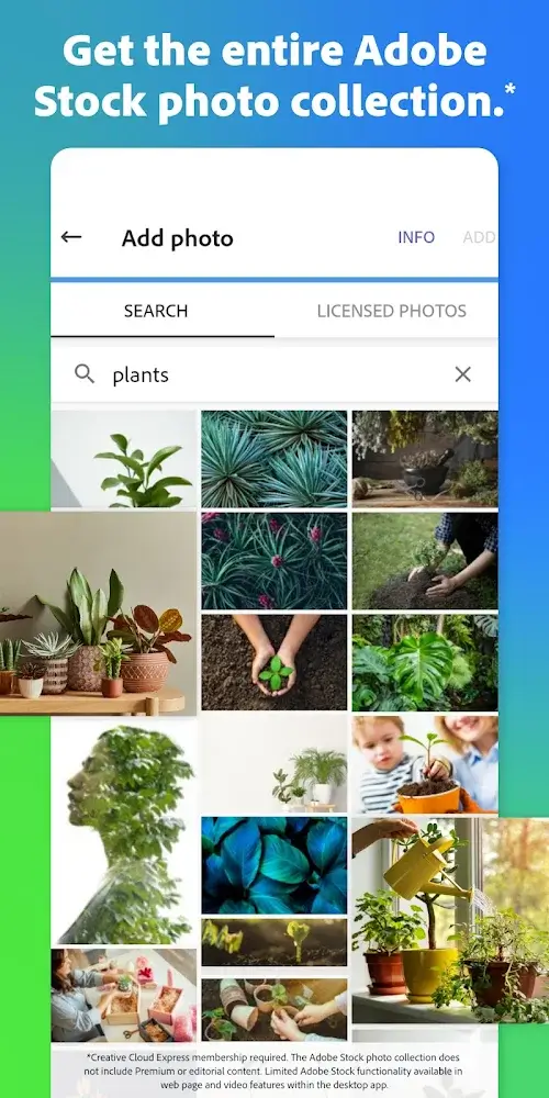 Adobe Express screenshot 6