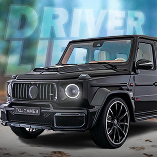 Driver Simulator