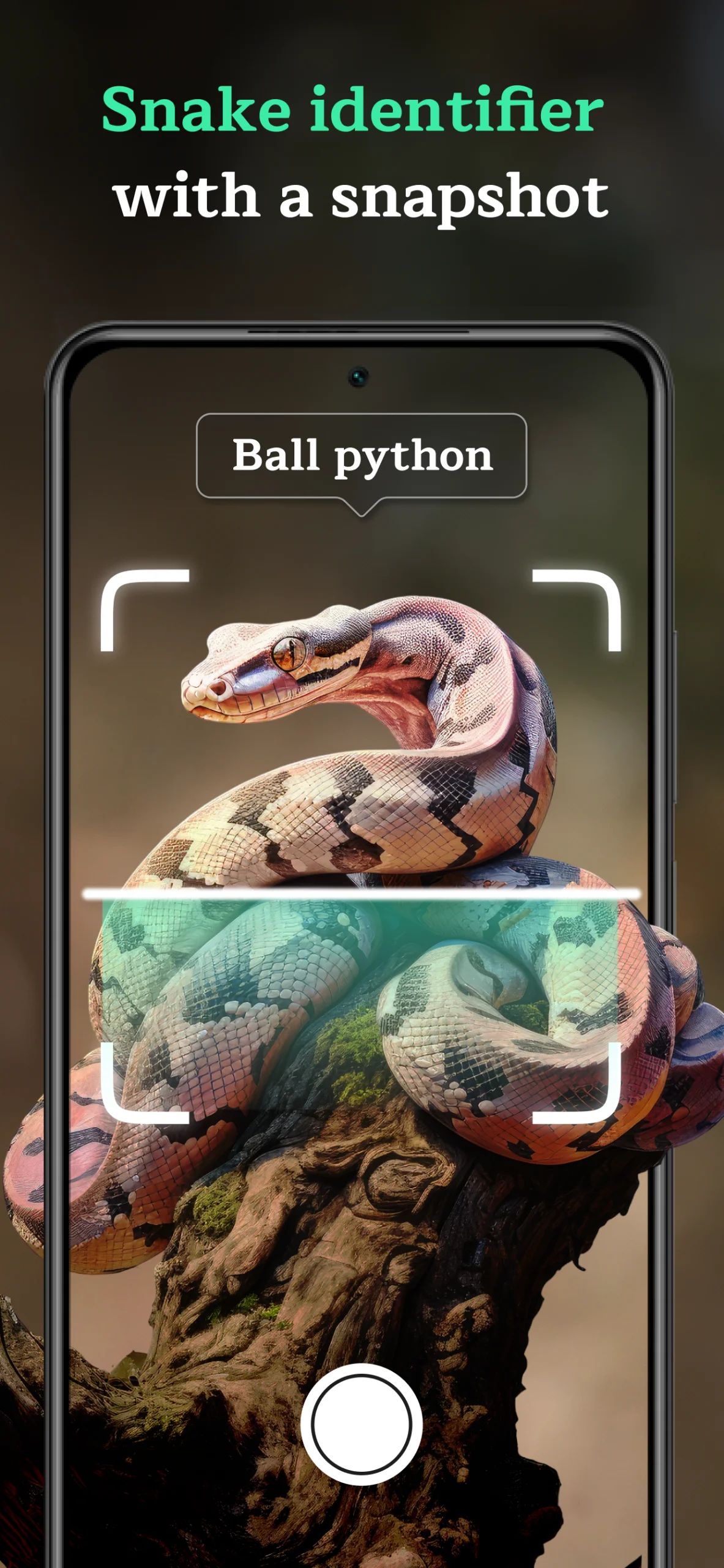 Snake Identifier AI Scanner screenshot 1