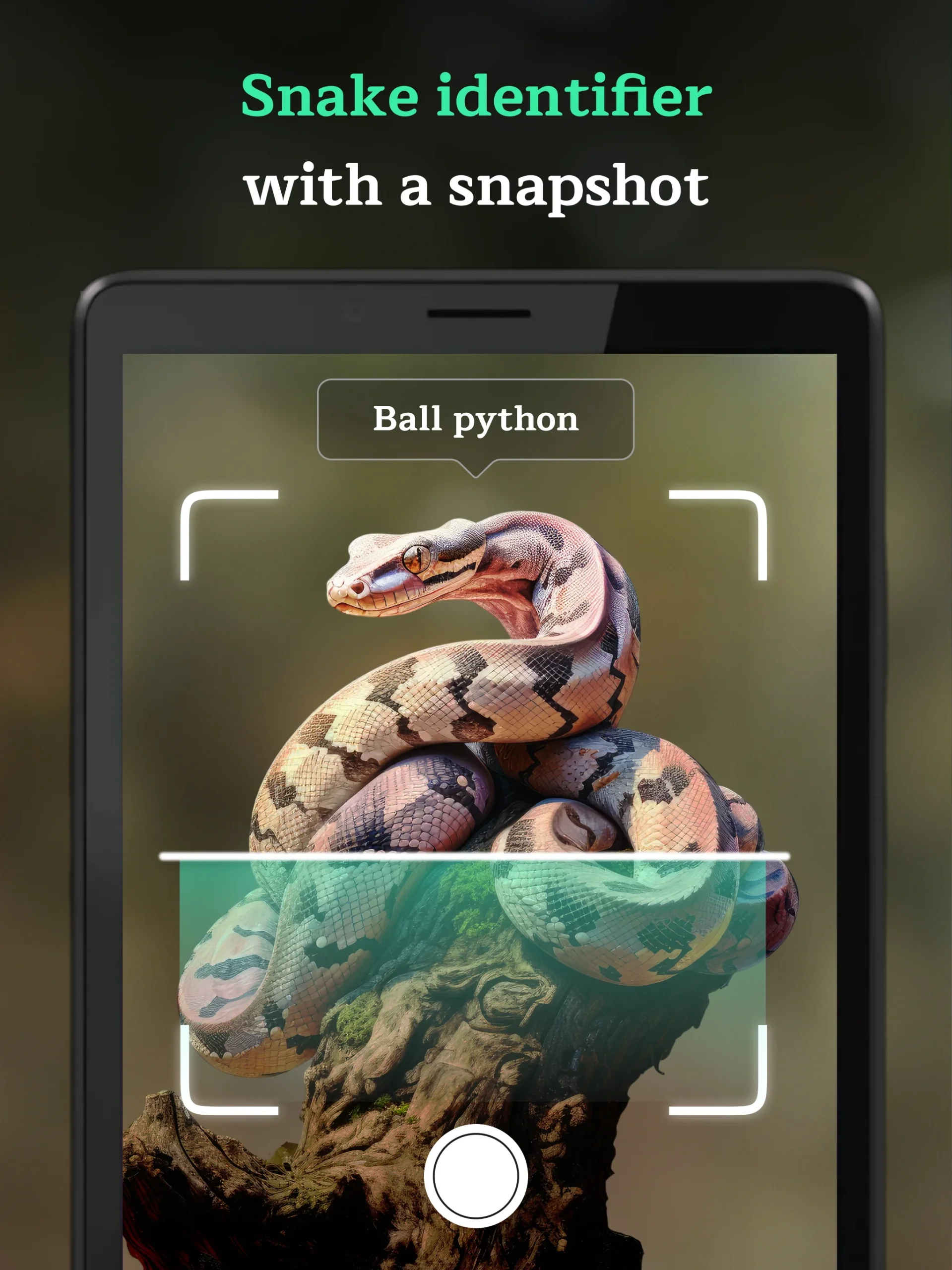 Snake Identifier AI Scanner screenshot 5