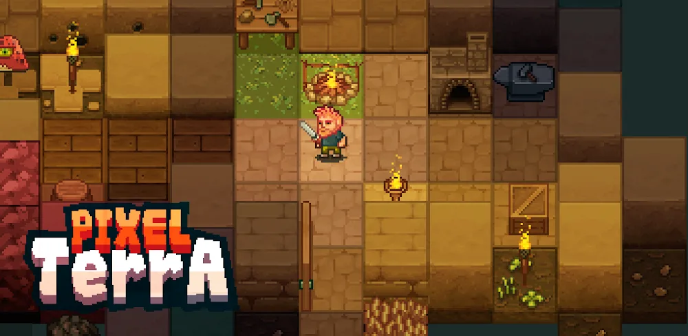 PixelTerra screenshot 1