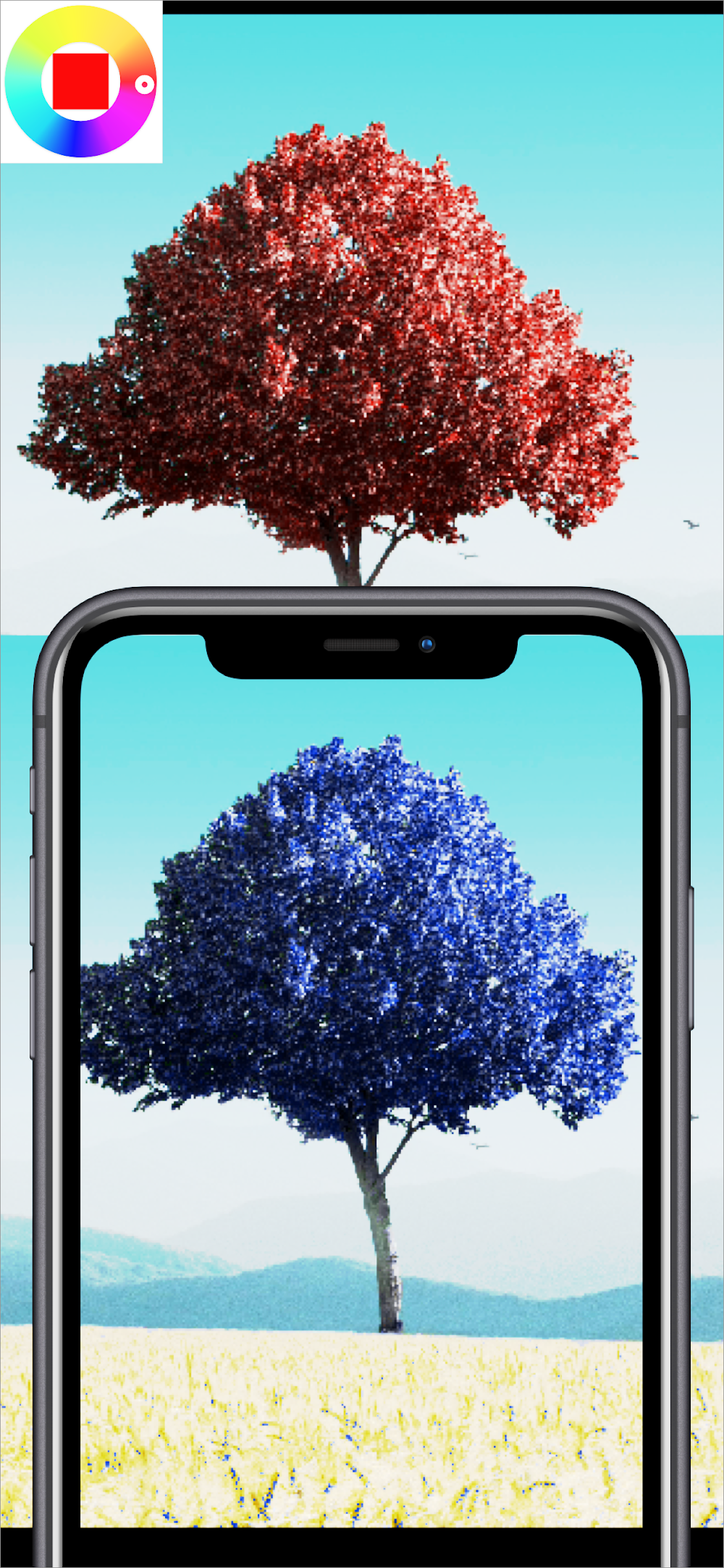 Color Changing Camera screenshot 6