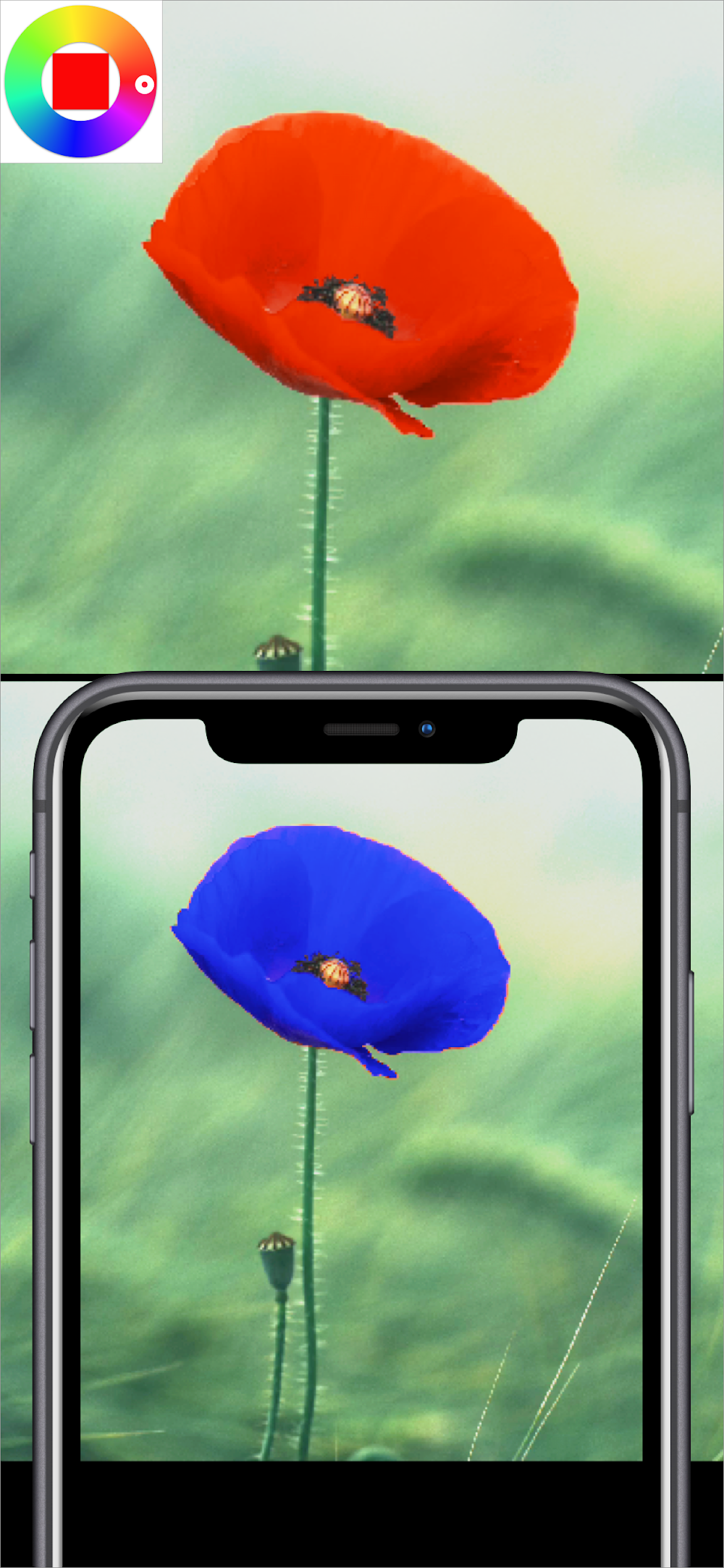 Color Changing Camera screenshot 7