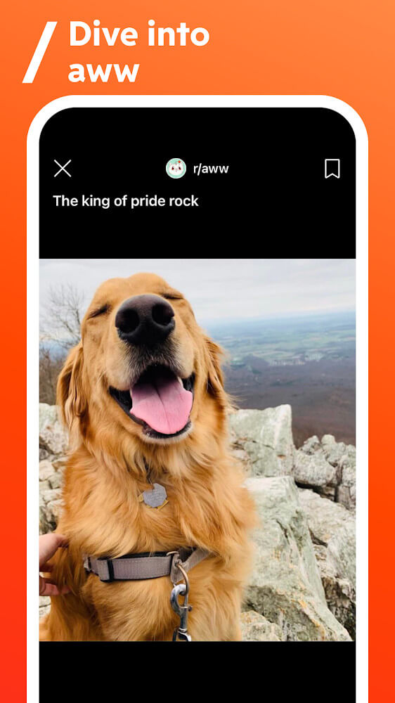 Reddit screenshot 5