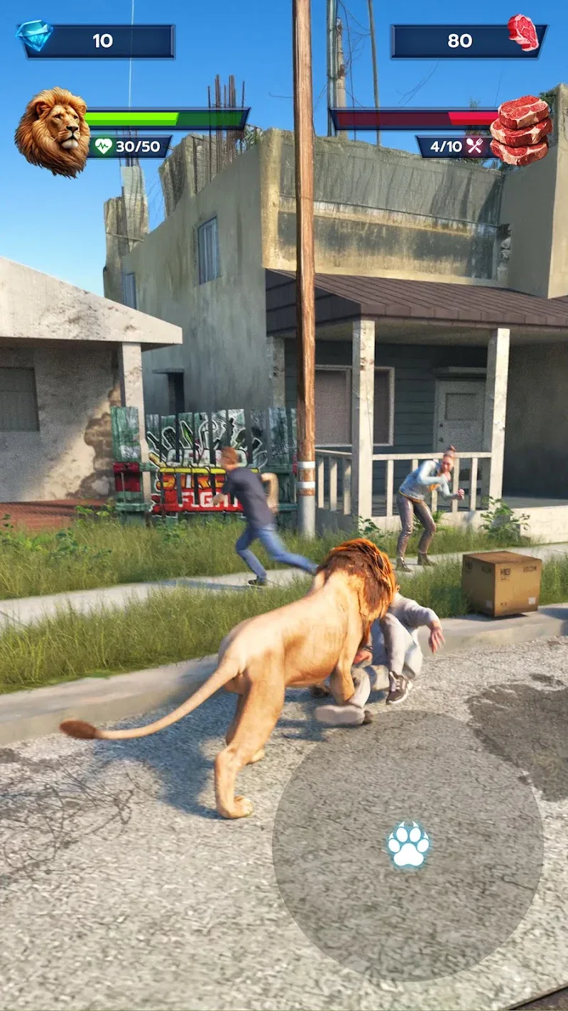 Lion Survival screenshot 3