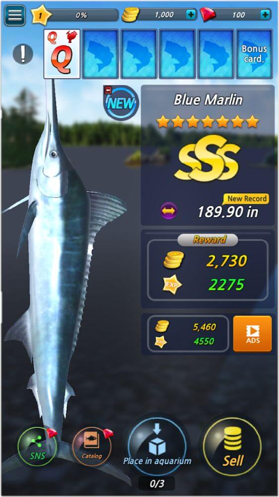 Fishing Season screenshot 5