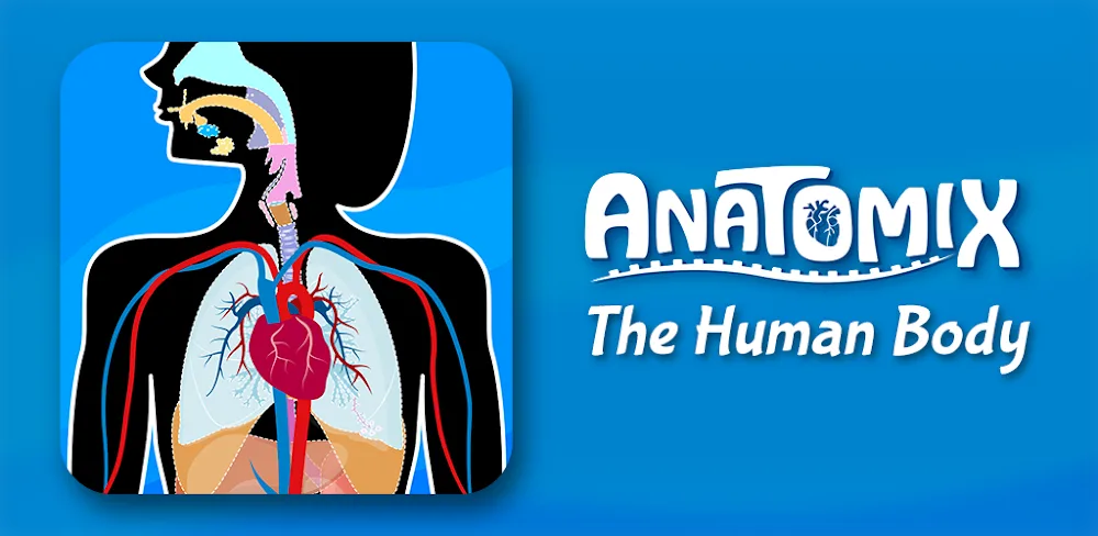 Anatomix gameplay preview 1