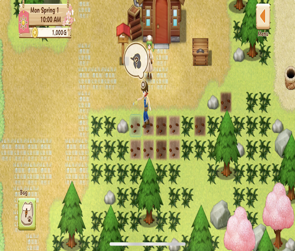 Harvest Moon: Light of Hope screenshot 7