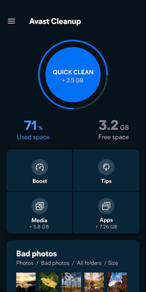 Avast Cleanup screenshot 2