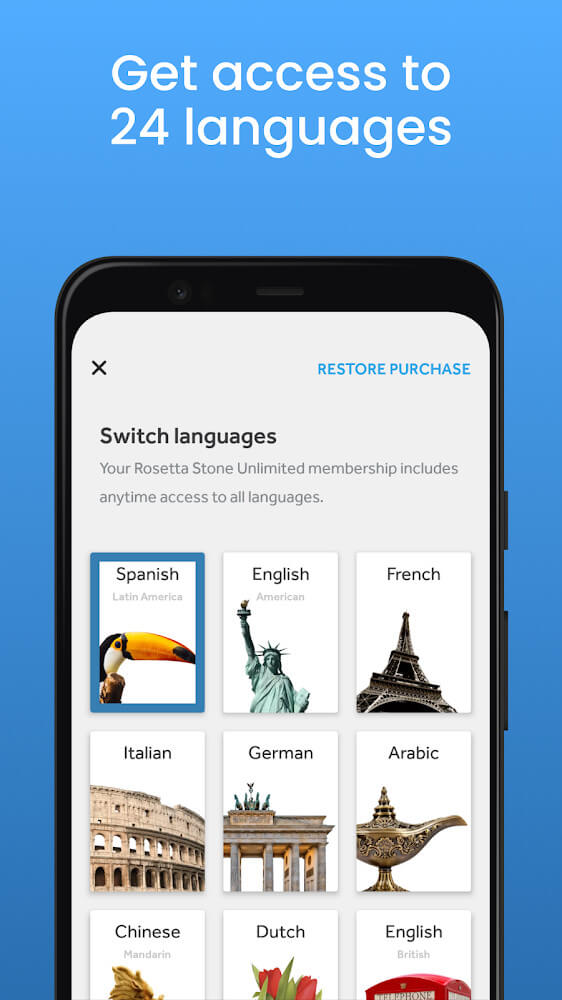 Rosetta Stone screenshot 4