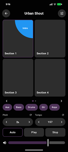 Loops By CDUB screenshot 2