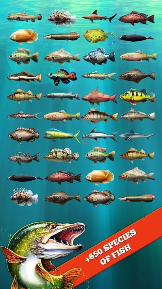 Let’s Fish screenshot 4