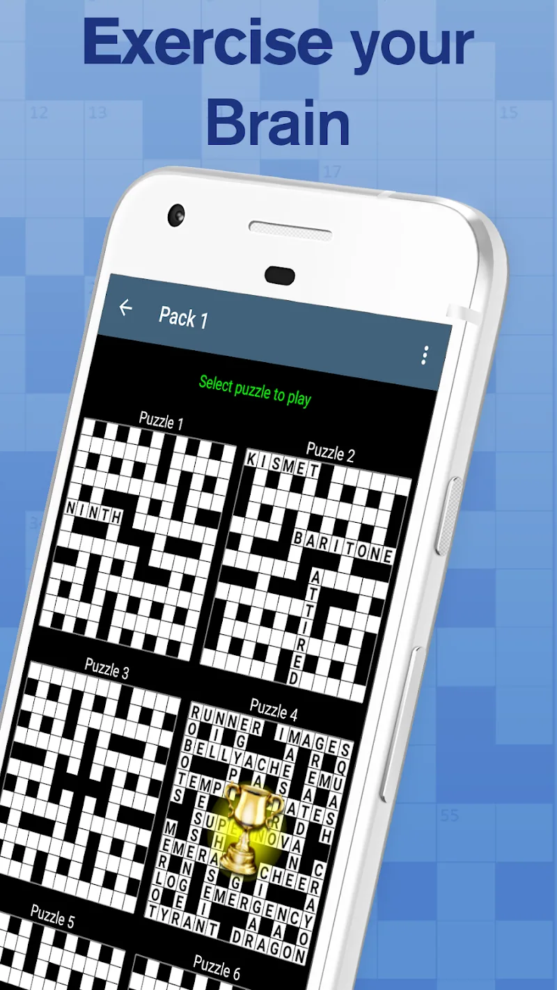 Crossword screenshot 4