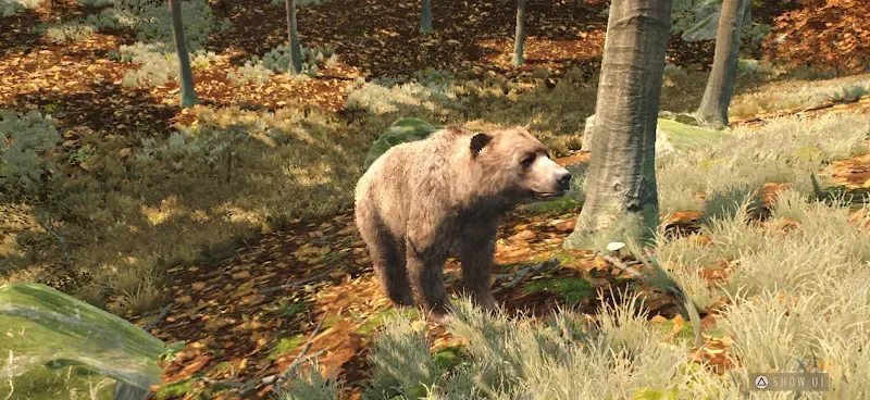 Screenshot 2 of Way of the Hunter Wild Europe