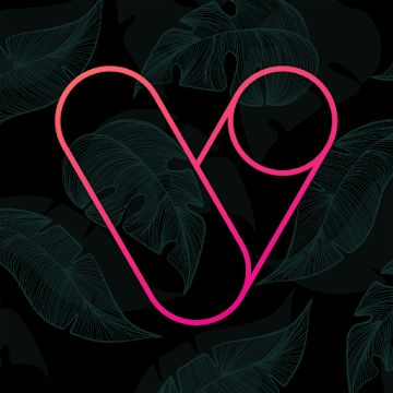 Vera Outline Icon Pack - outline icons