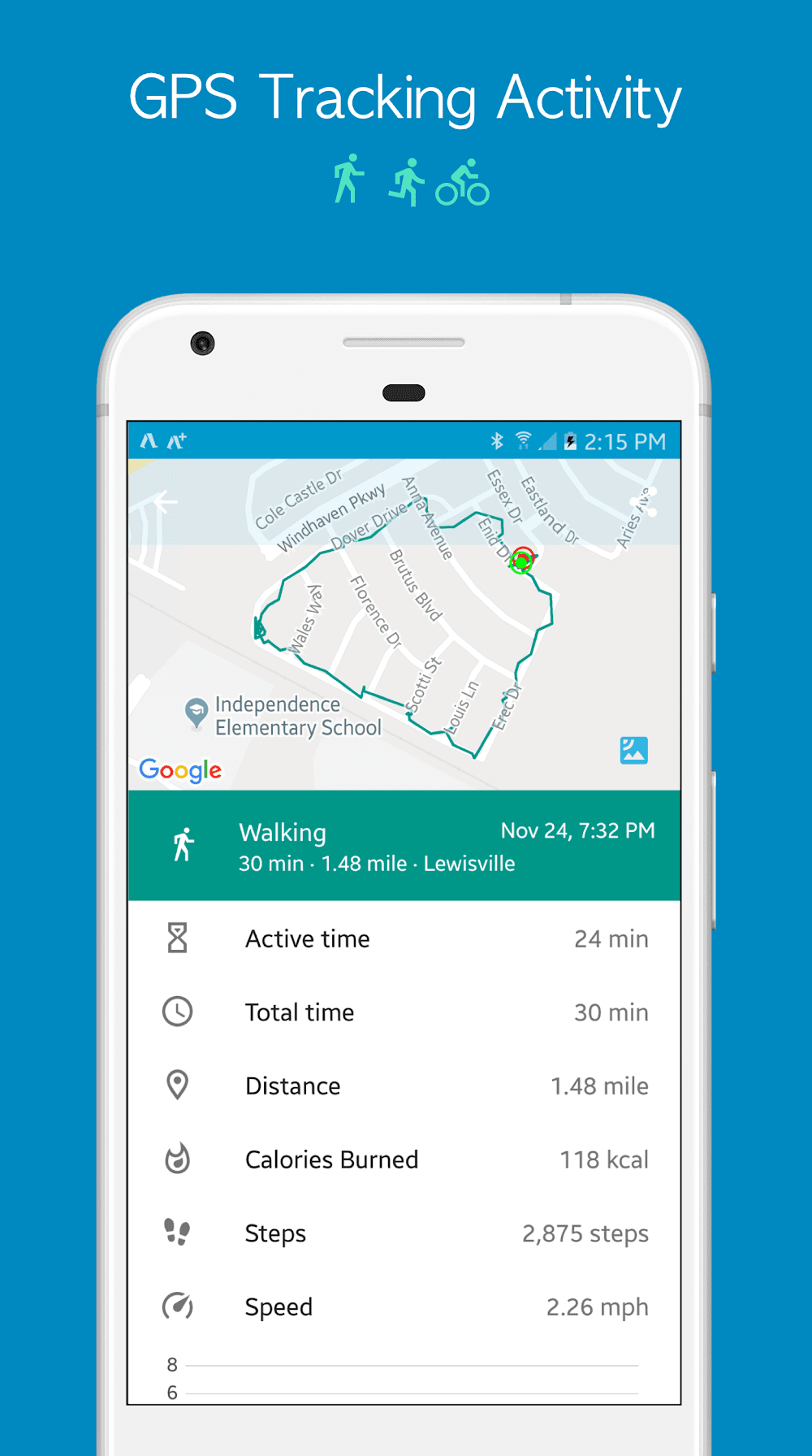 Accupedo Pedometer screenshot 3