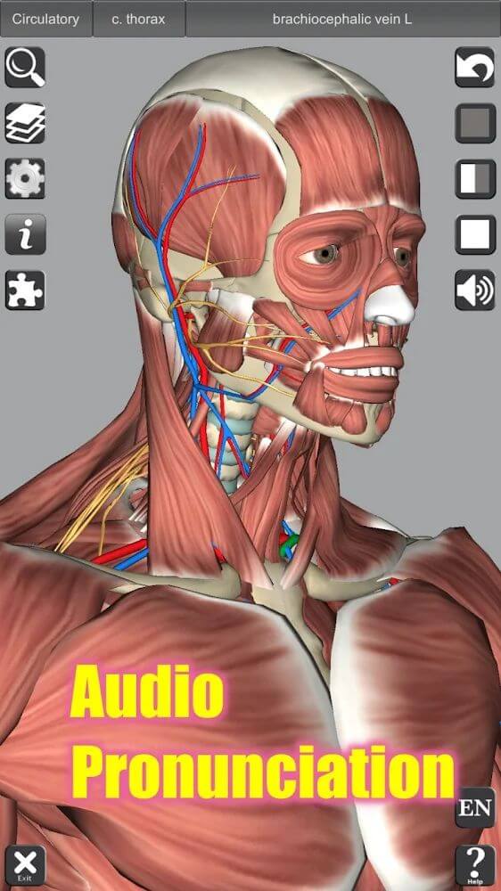 3D Anatomy screenshot 5