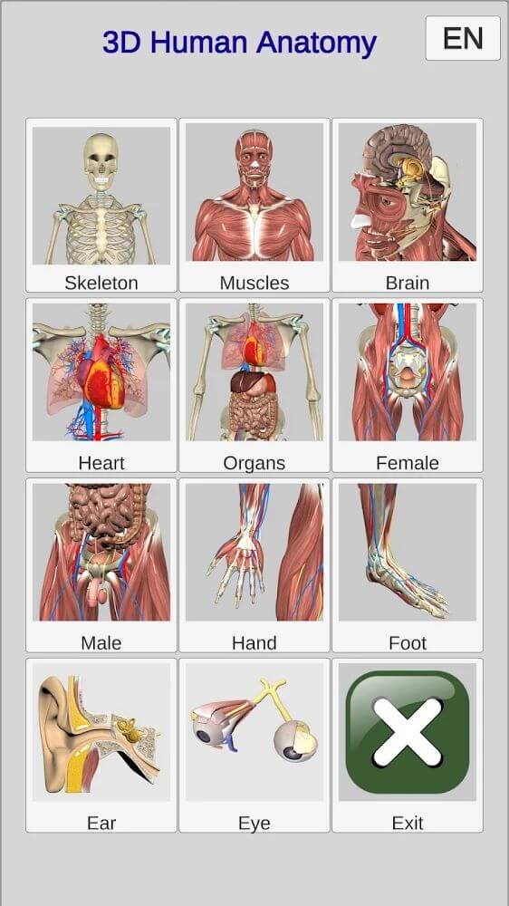 3D Anatomy screenshot 4