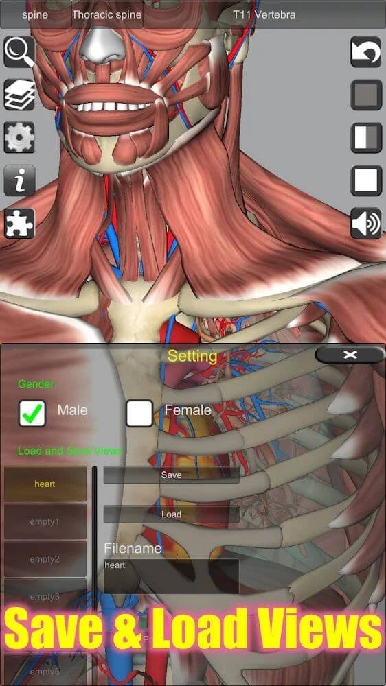 3D Anatomy screenshot 6