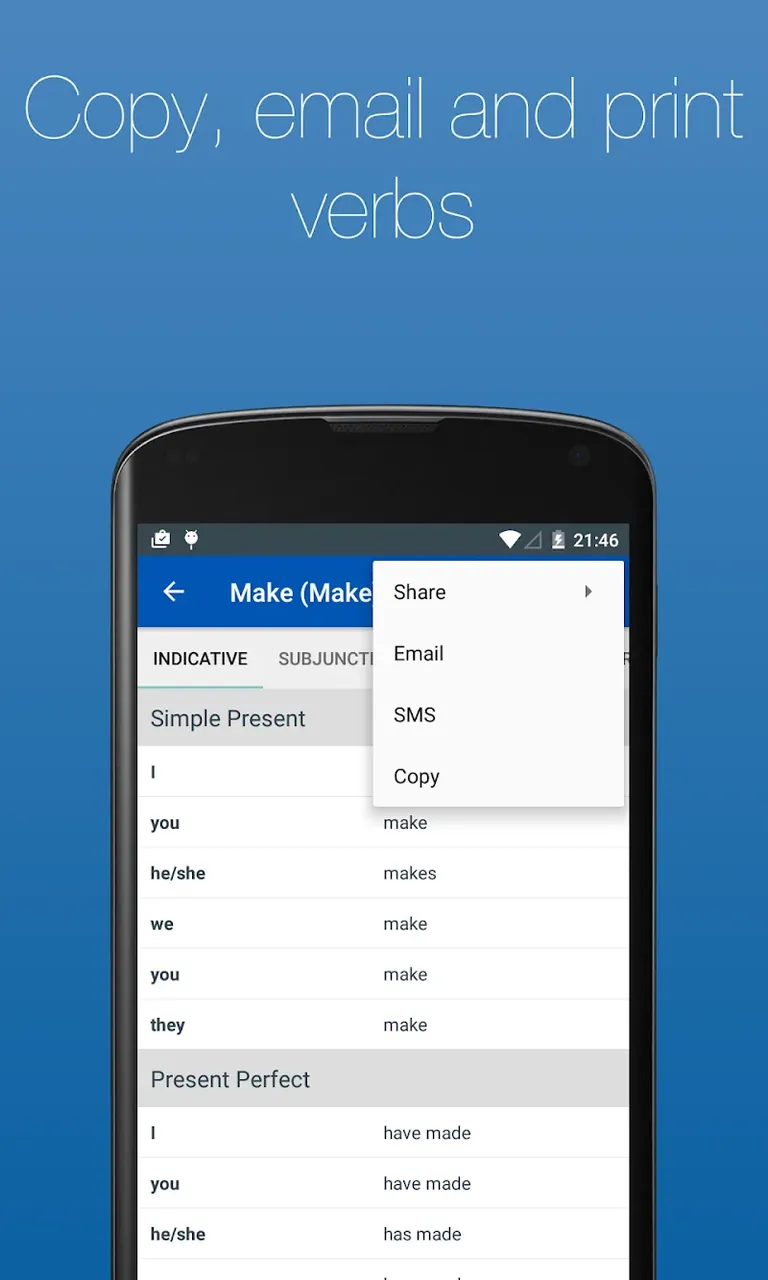 English Verb Conjugator Pro screenshot 6