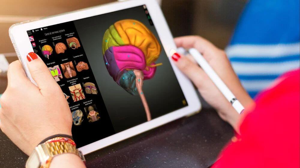 Anatomy Learning - 3D Anatomy Atlas screenshot 3